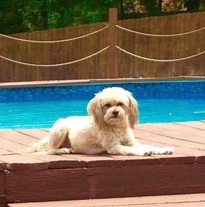 Meet your Posher, Robin eddie